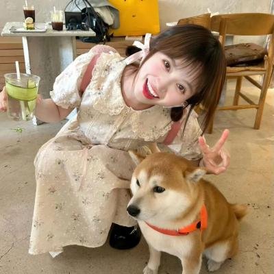失踪纪年